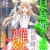 白い結婚から三年。旦那様、私と離縁してください ネタバレ raw